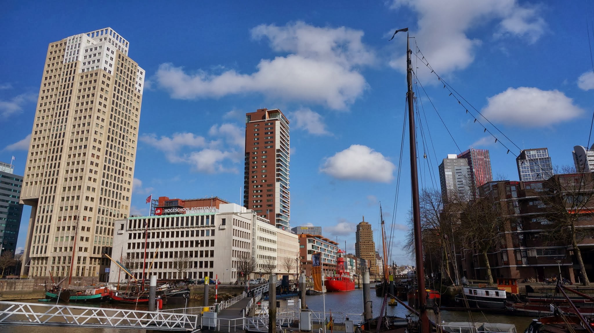 Rotterdam Skyline